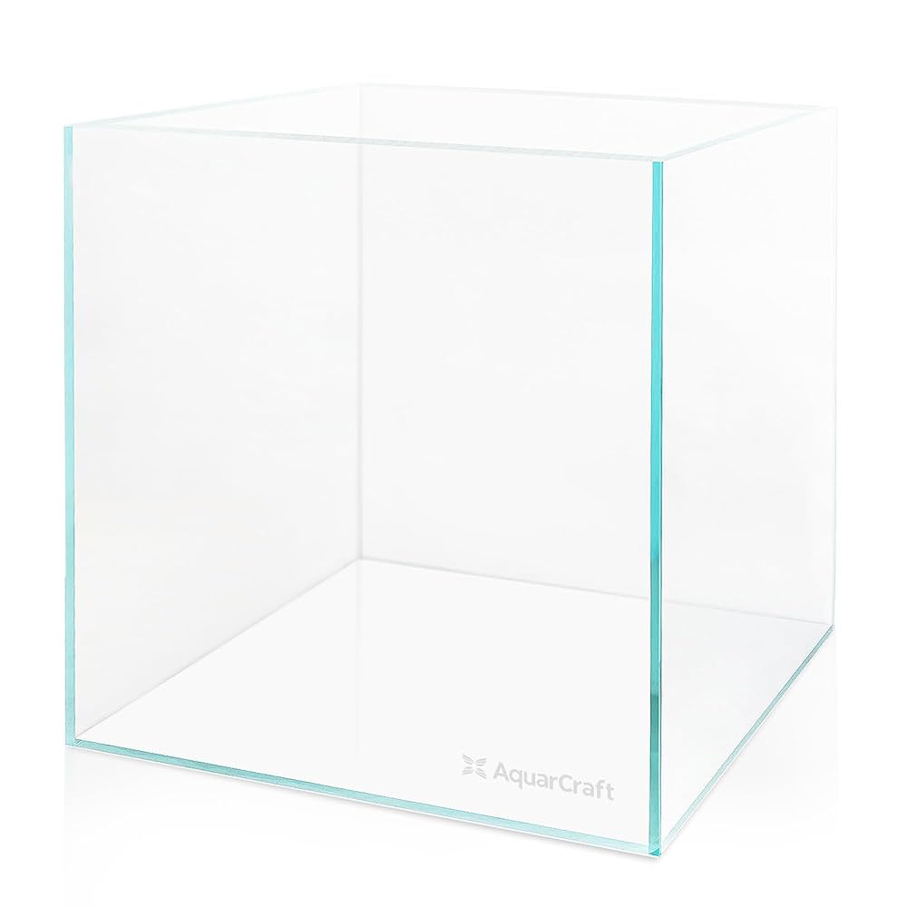 FISH TANK  31冊 81JigaoUz2L._UF350,350_QL50_.jpg